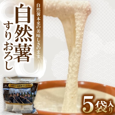 自然薯 すりおろし 冷凍  50g×5パック