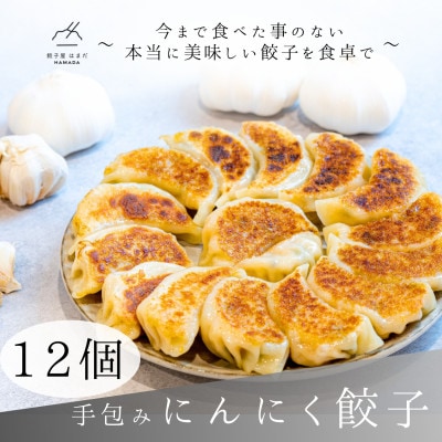 手包みにんにく餃子　12個入り