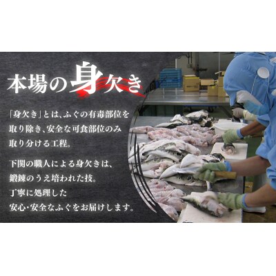 国産とらふぐ 刺身 セット 10人前 ふぐ松前付 冷凍 下関 《海(かい):KA》 KA3080
