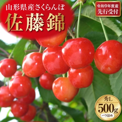 【令和9年産】 さくらんぼ「佐藤錦」 500gバラ詰め 秀以上 Lサイズ 河北町産