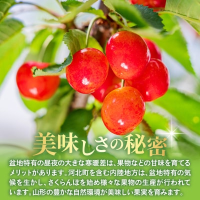 【令和9年産】 さくらんぼ「佐藤錦」 500gバラ詰め 秀以上 Lサイズ 河北町産