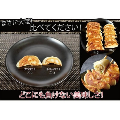 横浜大宝餃子 もちもち国産ジャンボ焼き餃子30個&海老餃子20個セット