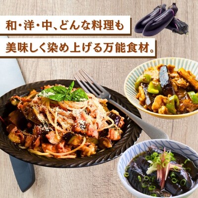 なす 4kg (40個以上) なす ナス 茄子 野菜