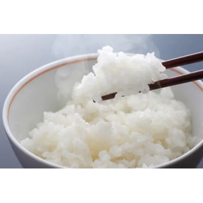 〈令和7年産〉ななつぼし 「氷点の舞」 10kg 5kg×2 北海道 米 お米 高品質 ブランド米