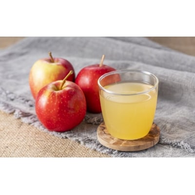 【先行受付】潮風 りんごジュース 1L×2本 りんご 飲料 飲み物 果汁 100% ストレート