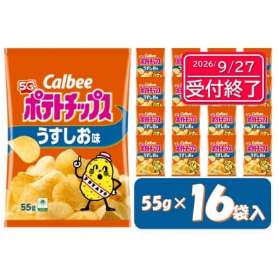 カルビー　ポテトチップス　うすしお味　16袋【1378】