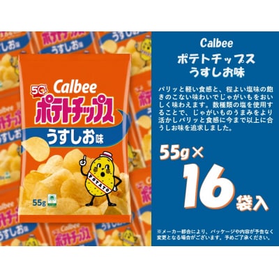 カルビー　ポテトチップス　うすしお味　16袋【1378】