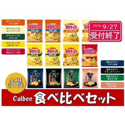 カルビー　ポテトチップス　堅あげポテト　食べ比べセット　全9種　12袋【1381】