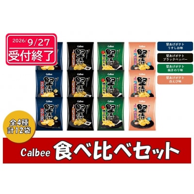 カルビー　堅あげポテト　食べ比べセット　全4種　各3袋【1382】