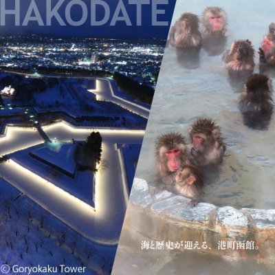 【北海道ツアー】北海道 函館市 旅行クーポン 900,000円分_HD233-005