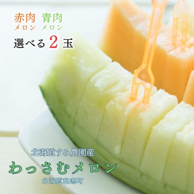 〈令和8年産〉選べるメロン 2玉 赤肉 北海道 和寒町 北海道メロン 果物 フルーツ 新鮮 甘い