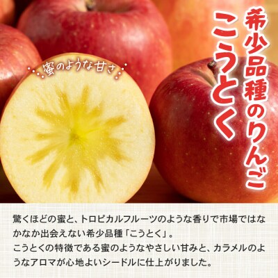 テキカカシードル(こうとく)&えんシードル 750ml×各3本 計6本|24_mye-150601