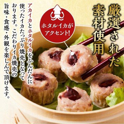 化粧箱入り!イカ屋が作ったイカたっぷり焼売セット(計24個・8個入×3セット)
