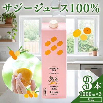 サジージュース 100% 1000ml×3本セット | サジー シーベリー 沙棘 _DX07