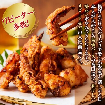 網元自慢のこだわりいかセット(2種・計850g)