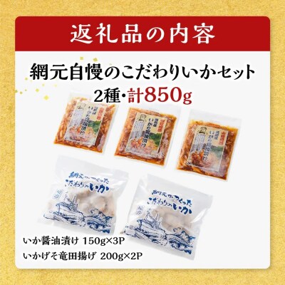 網元自慢のこだわりいかセット(2種・計850g)
