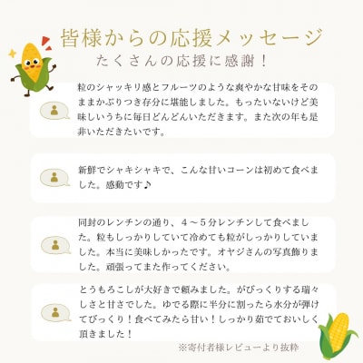甘み抜群!北海道産とうもろこし【頑固オヤジこだわりコーン】5・6本入り