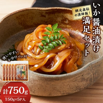 網元直伝の漁師飯!いか醤油漬け 満足セット(計750g・150g×5P入)