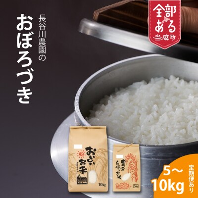 【令和8年産米】長谷川農園おぼろづき10kg3回コース『定期便』【U-006】