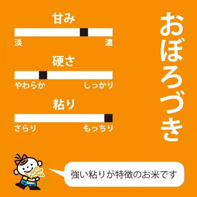 【令和8年産米】長谷川農園おぼろづき10kg3回コース『定期便』【U-006】