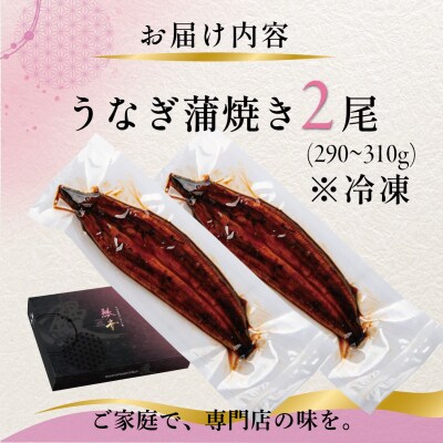 国産 うなぎの蒲焼き(鹿児島県産) 2尾 (290～310g) 