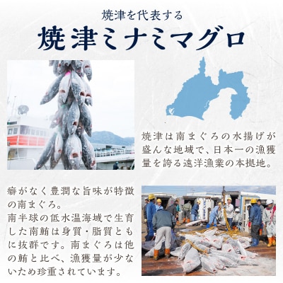 簡単解凍!ご飯に乗せるだけの焼津直送お手軽南鮪 切り落とし(a10-359)