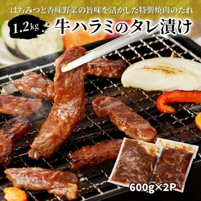 牛ハラミのタレ漬け1.2kg(600g×2P)_2158R