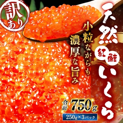 新物 天然紅鮭いくら醤油漬け 750g ( 250g × 3 ) 【2026年11月以降順次発送】