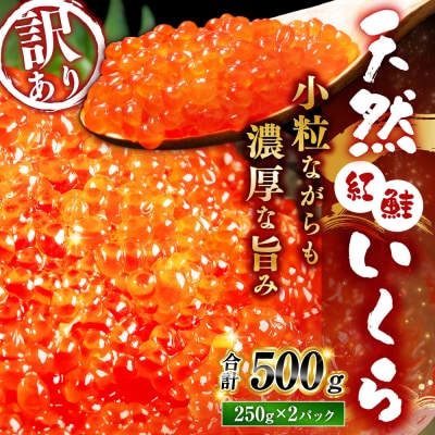 新物 天然紅鮭いくら醤油漬け 500g(250g×2) 【2026年11月以降順次発送】