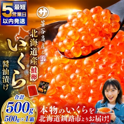 【5営業日以内発送】【北海道産】いくら醤油漬け500g×1箱 いくら