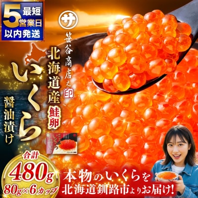【5営業日以内発送】北海道産 いくら 醤油漬け 80g×6カップ 計480g