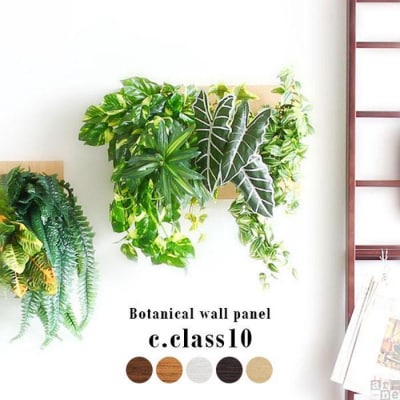 Botanical c.class 10　ナチュラル