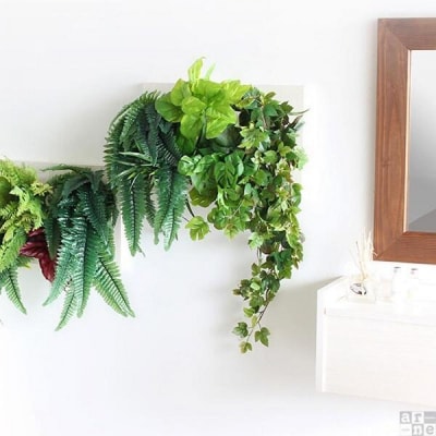 Botanical c.class 11　ナチュラル