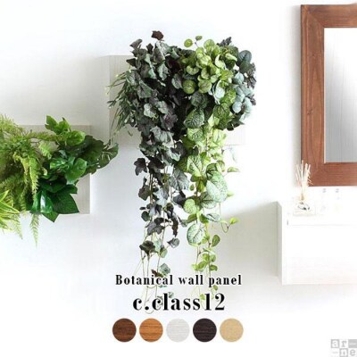 Botanical c.class 12　ダークブラウン