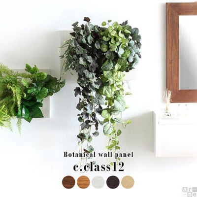 Botanical c.class 12　ナチュラル