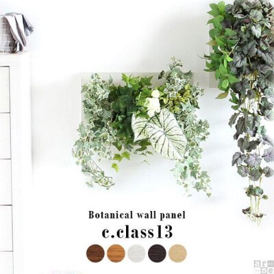 Botanical c.class 13　ナチュラル