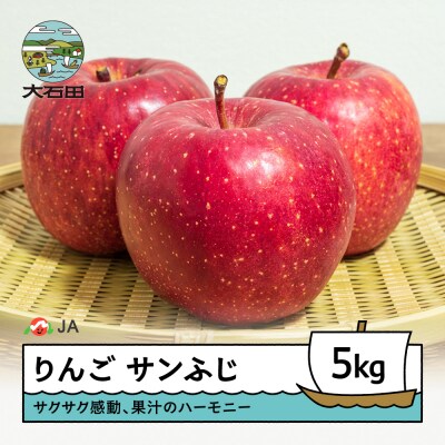 【先行予約】 りんご サンふじ 約5kg 2026年産 令和8年産 ja-risfx5