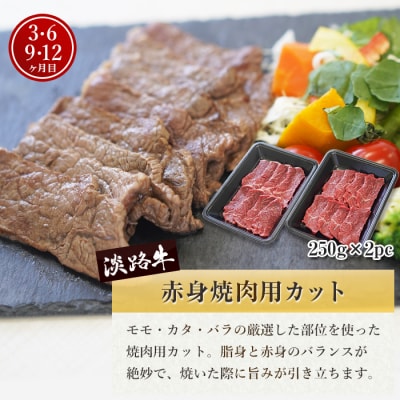 【定期便12ヶ月】淡路牛 赤身肉の定期便(ミニステーキ・サイコロステーキ・焼肉)　ao05722