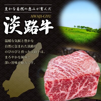 淡路牛 厚切ロース焼肉用カット 500g(250g×2パック)　ao05715