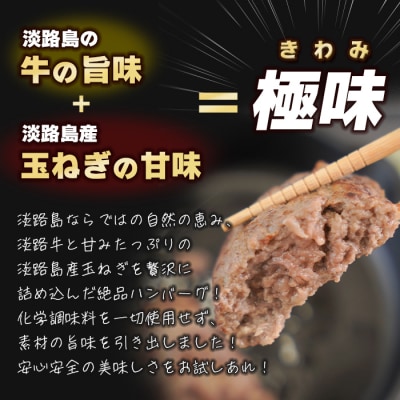 【定期便3ヶ月】淡路島 極味ハンバーグ 150g×12個　ao05870