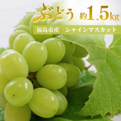  アグリード 福島市産 シャインマスカット 約1.2kg(2房)【2026年発送】No.3371