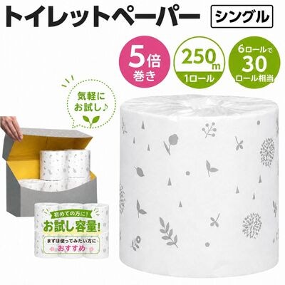 イットコ 半年トイレットロールボックス 芯なし スリム幅 5倍巻 250m 6ロール