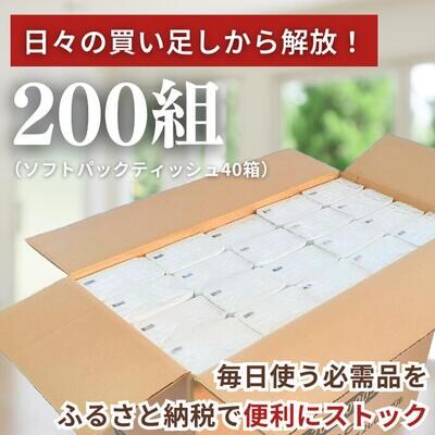 イットコ 詰め替えティシュ ソフトパック 200 ダブル 40P