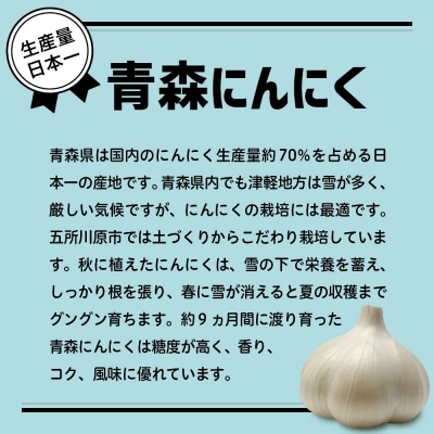 青森県産 にんにく (上級品) Mサイズ 1kg