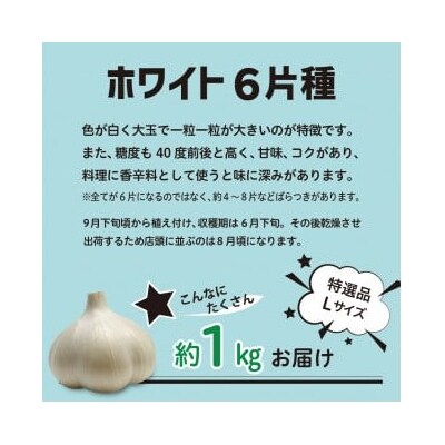 青森県産 にんにく (特選品) Lサイズ 1kg