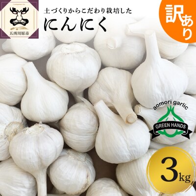 【訳あり】青森県産 にんにく 3kg (1kg×3) 