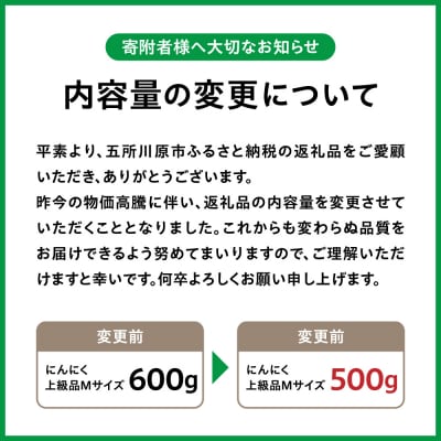 青森県産 にんにく (上級品) Mサイズ 500g