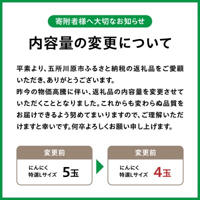 青森県産 にんにく (特選) Lサイズ 4玉