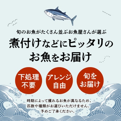 【指定日必須】煮付けコース_S121-002A