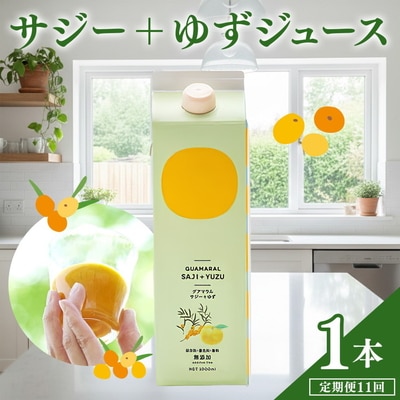 【定期便11カ月】サジー グアマラルサジー+ゆず 1000ml 毎月1本11カ月コース _DX35